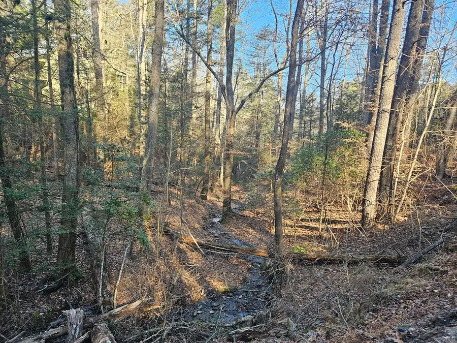 LT 1620 Nexus Drive, Ellijay, GA 30540 - Image #2