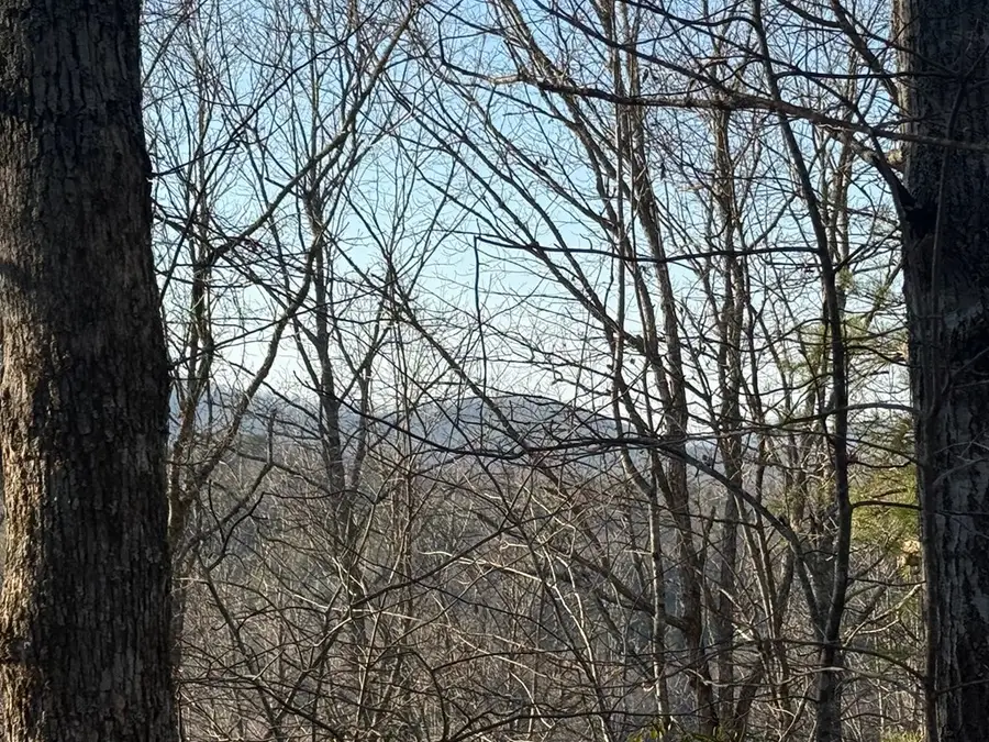 Lot 1 Willow Ridge, Warne, NC 28909 - #3