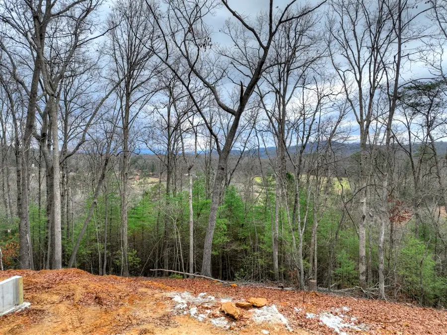 0 Sugar Creek Road, Blue Ridge, GA 30513 - #3