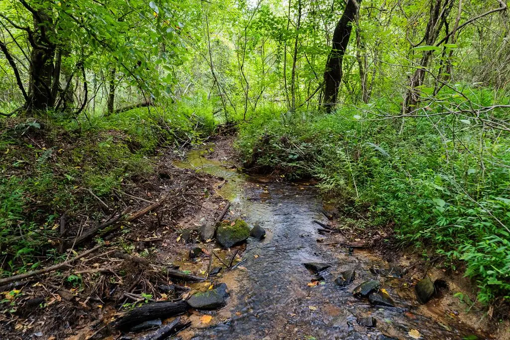 13.59 AC Ridgeway Church Road, Ellijay, GA 30540 - #1