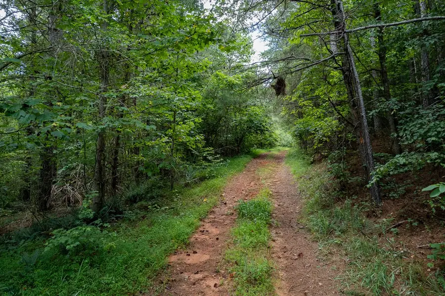 13.59 AC Ridgeway Church Road, Ellijay, GA 30540 - #2