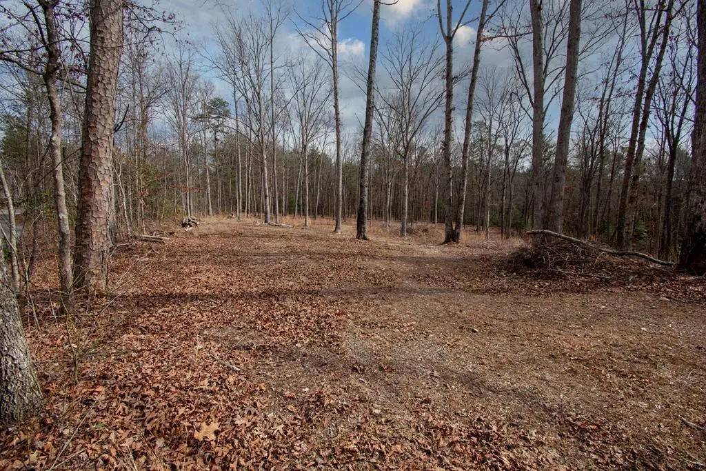 329 Marrestop Road, Murphy, NC 28906 - #1