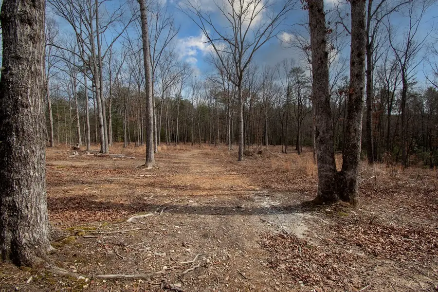 329 Marrestop Road, Murphy, NC 28906 - #2
