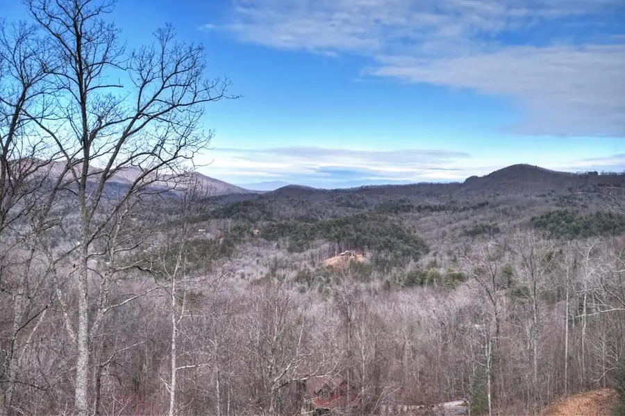 395 Pontoosuc Drive, Mineral Bluff, GA 30559 - #3