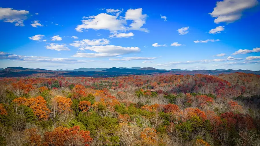 290 Weaver Creek Overlook, Blue Ridge, GA 30513 - #3