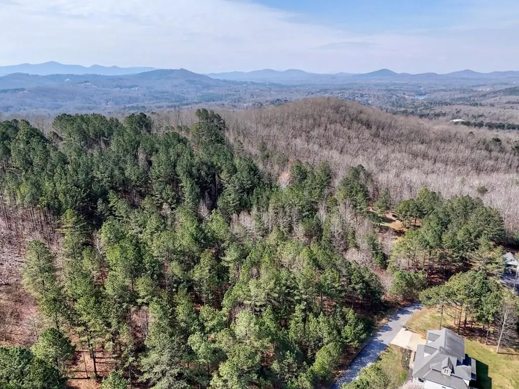 lot 38 Loftis Mountain, Blairsville, GA 30512 - #1