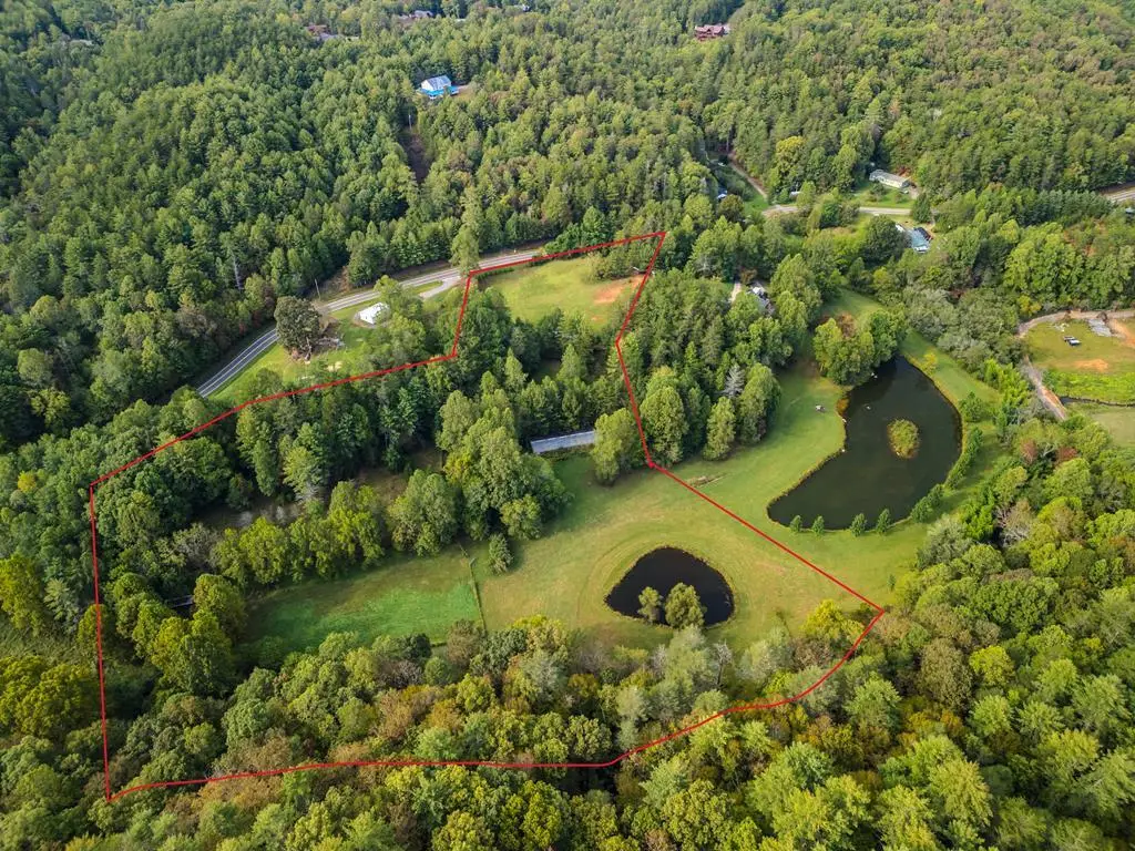 7.93 Cutcane Road, Mineral Bluff, GA 30559 - #1
