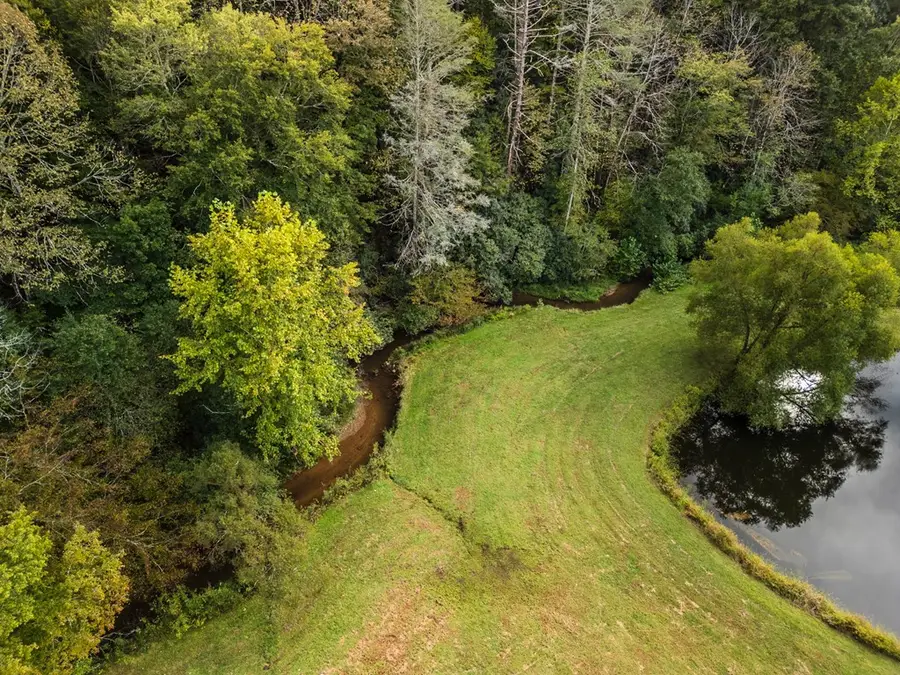 7.93 Cutcane Road, Mineral Bluff, GA 30559 - #2