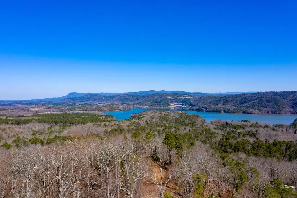 50000 Carters Lake Overlook, Ranger, GA 30734 - #1