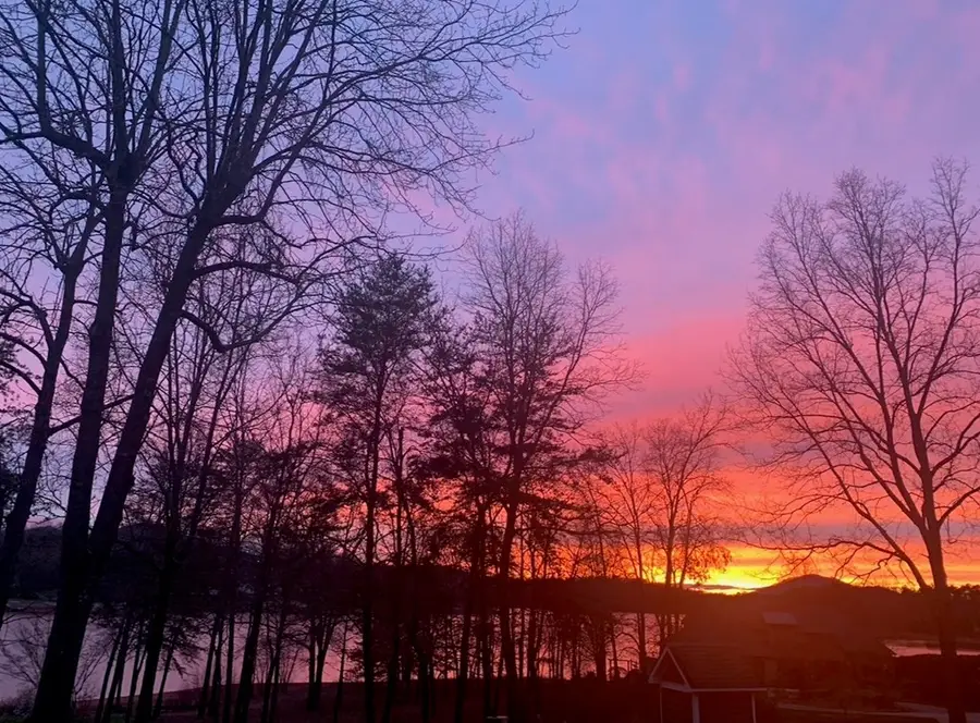 549 Sneaking Creek Drive, Hayesville, NC 28904 - #3