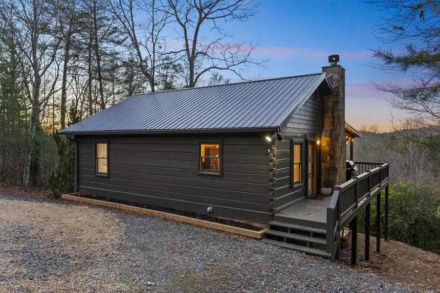 118 Lakota Lane, Mineral Bluff, GA 30559 - #3