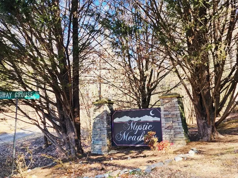 L17 Gray Grouse Trail, Murphy, NC 28906 - #2