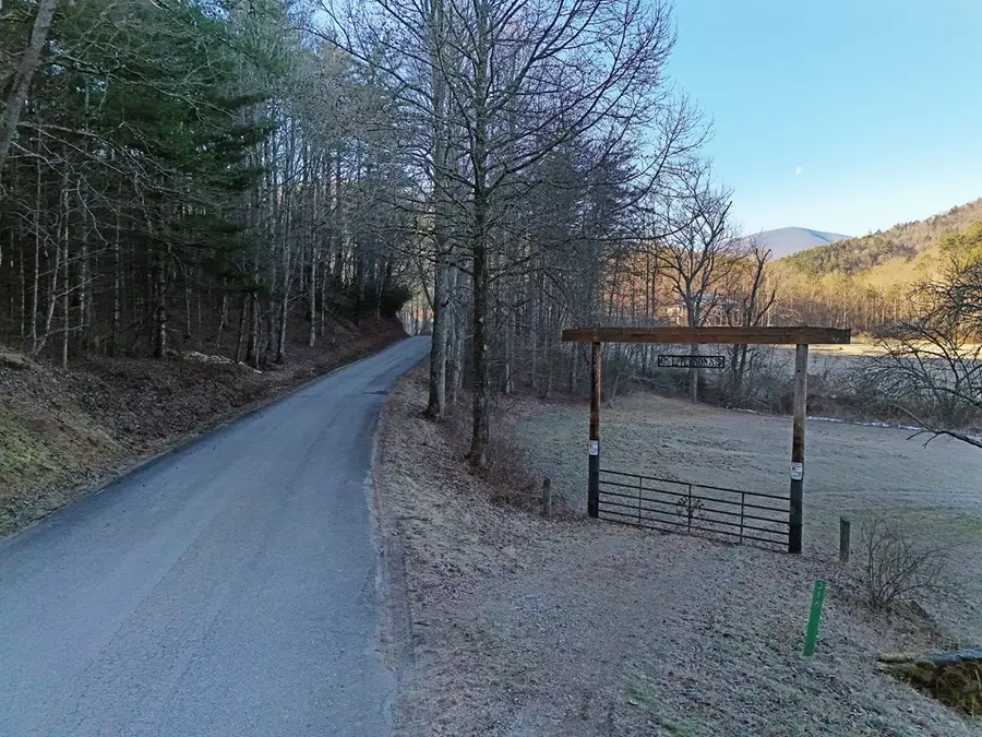 Lot 2 Papas Mountain Road, Blairsville, GA 30512 - #2