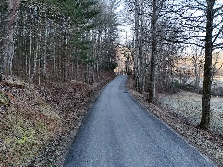 Lot 2 Papas Mountain Road, Blairsville, GA 30512 - #3