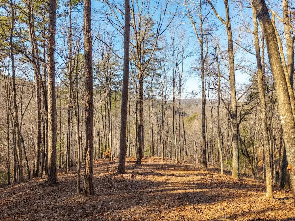 1665 Hunter Drive, Talking Rock, GA 30175 - #1