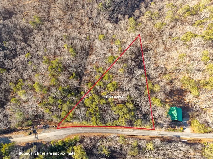 1665 Hunter Drive, Talking Rock, GA 30175 - #2