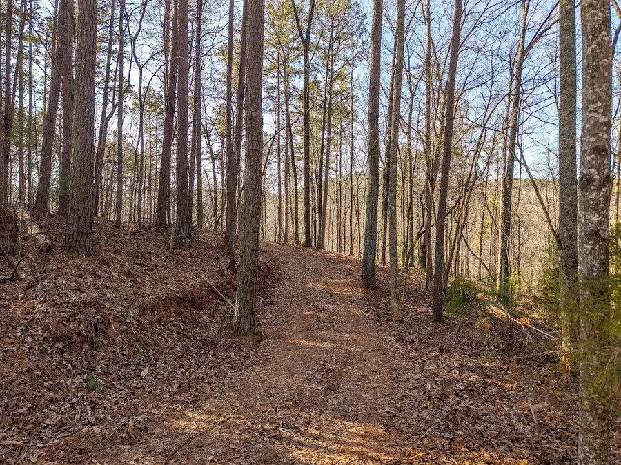 1665 Hunter Drive, Talking Rock, GA 30175 - #3