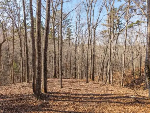 1884 Finale Street, Talking Rock, GA 30175