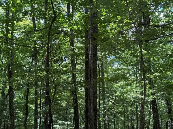 AC Weaver Creek Road, Blue Ridge, GA 30513