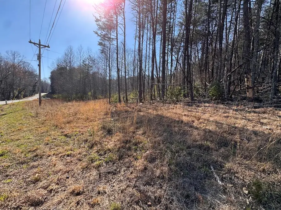 17 AC Weaver Creek Road, Blue Ridge, GA 30513 - #3