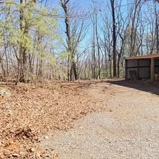 NA Pettit Ridge Road, Ellijay, GA 30540 - #2