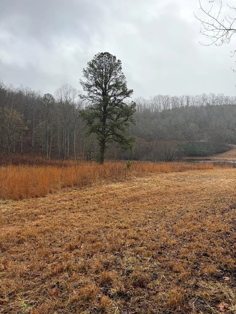 LOT 42 Whisper Woods Road, Hiawassee, GA 30546 - #2