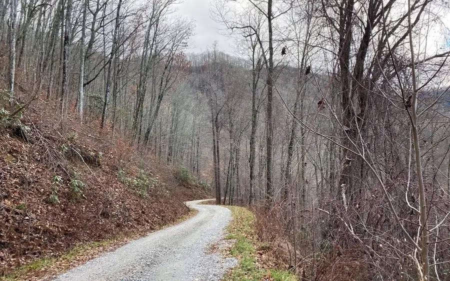 Lot J1 Georgianna Lane, Bryson City, NC 28713 - #3