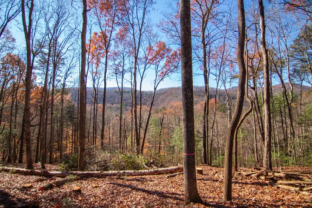 Lot 5 Clay's Way, Blue Ridge, GA 30513 - #1