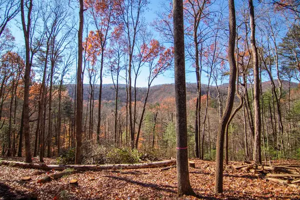Lot 5 Clay's Way, Blue Ridge, GA 30513