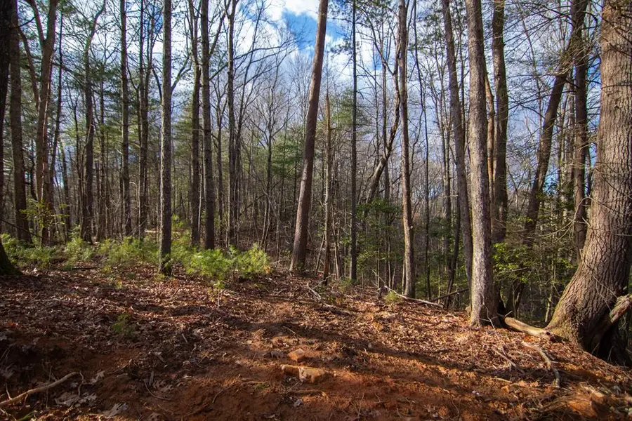 Lot 7 Clay's Way, Blue Ridge, GA 30513 - #3