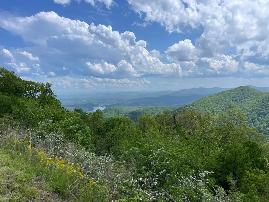 0 Burrell Mountain Road, Murphy, NC 28906 - #2