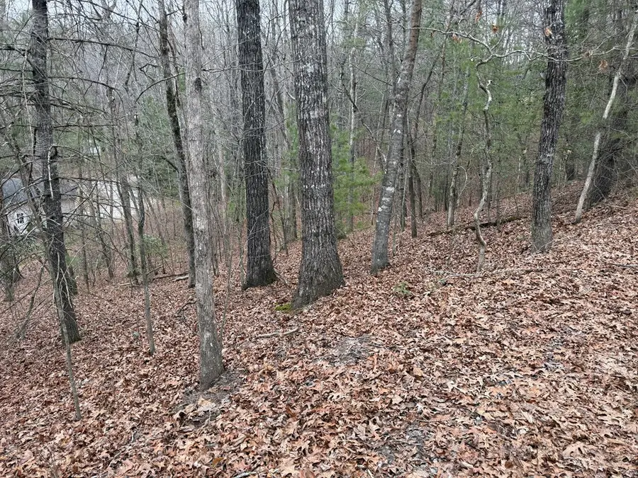 0 Mahana Lane, Murphy, NC 28906 - #3