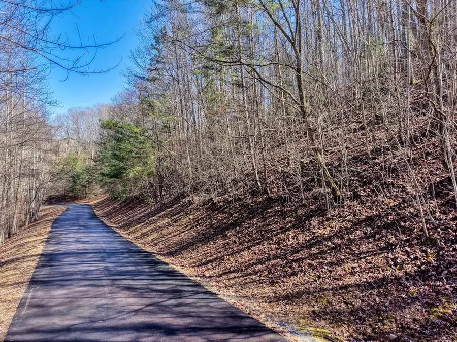 7C & 7D Timber Bend, Blairsville, GA 30512 - #2