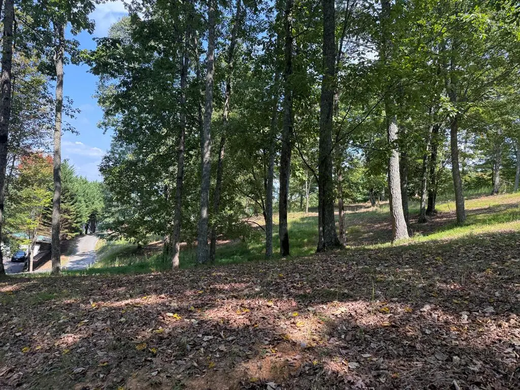 0 Madison Lane, Murphy, NC 28906 - #1