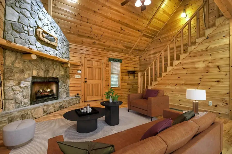 47 Blue Sky Drive, Blue Ridge, GA 30513 - #3
