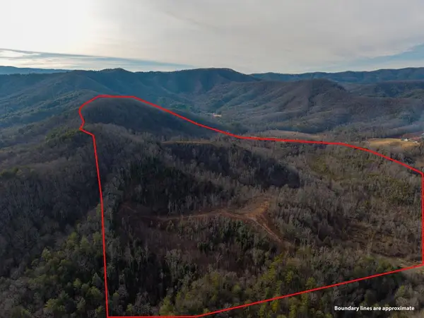 156+ AC Higdon Creek Road, Blue Ridge, GA 30513