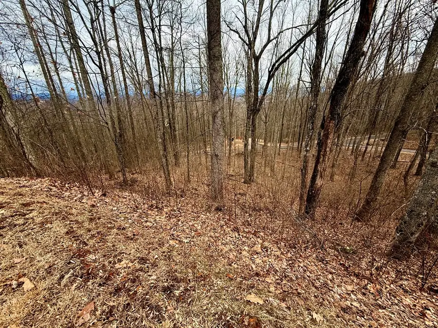 Lot 7 Rocky Knob Drive, Young Harris, GA 30582 - #3
