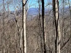 Lot 29 Hidden Summit Road, Hiawassee, GA 30546 - #1