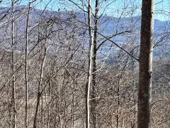 Lot 30 Hidden Summit Road, Hiawassee, GA 30546 - #1