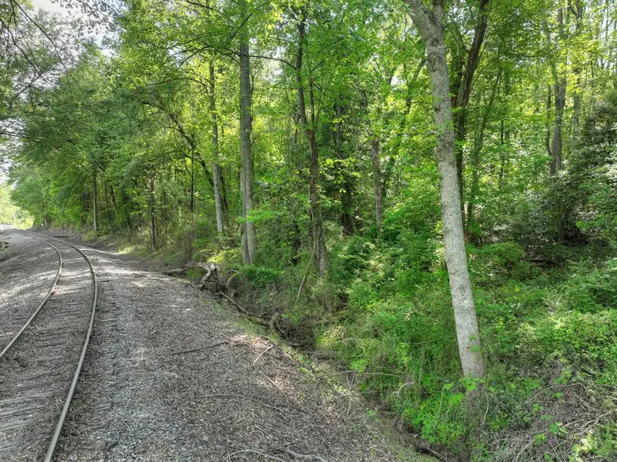 6.74 AC Doxol Street, Blue Ridge, GA 30513 - #3