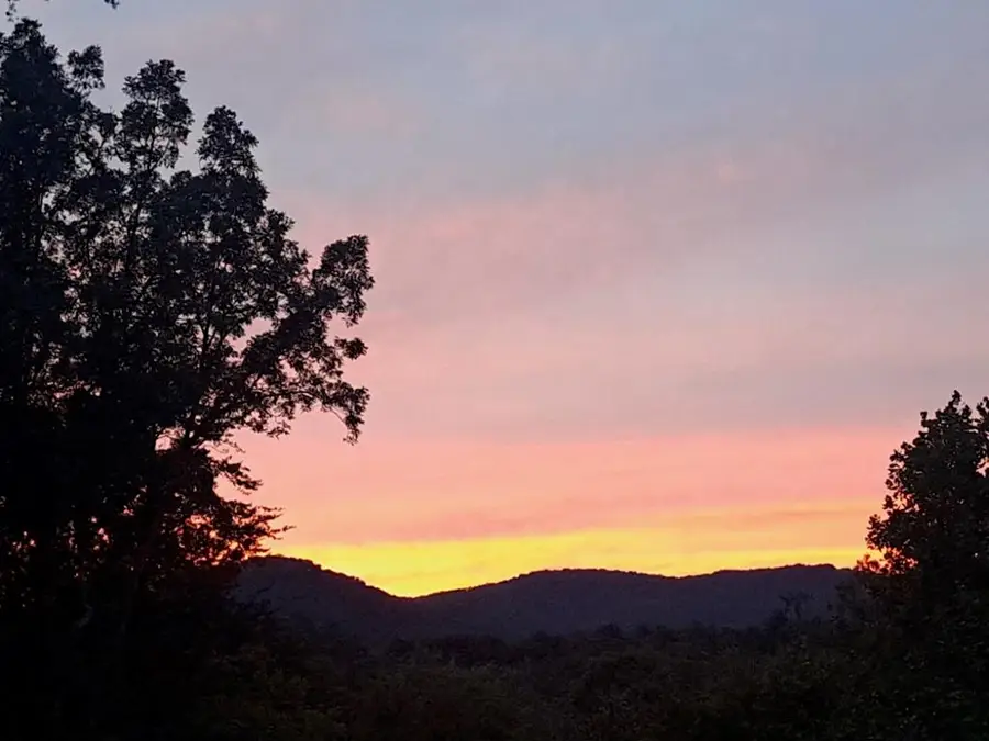 1172 Settlers Ridge Road, Ellijay, GA 30540 - #2