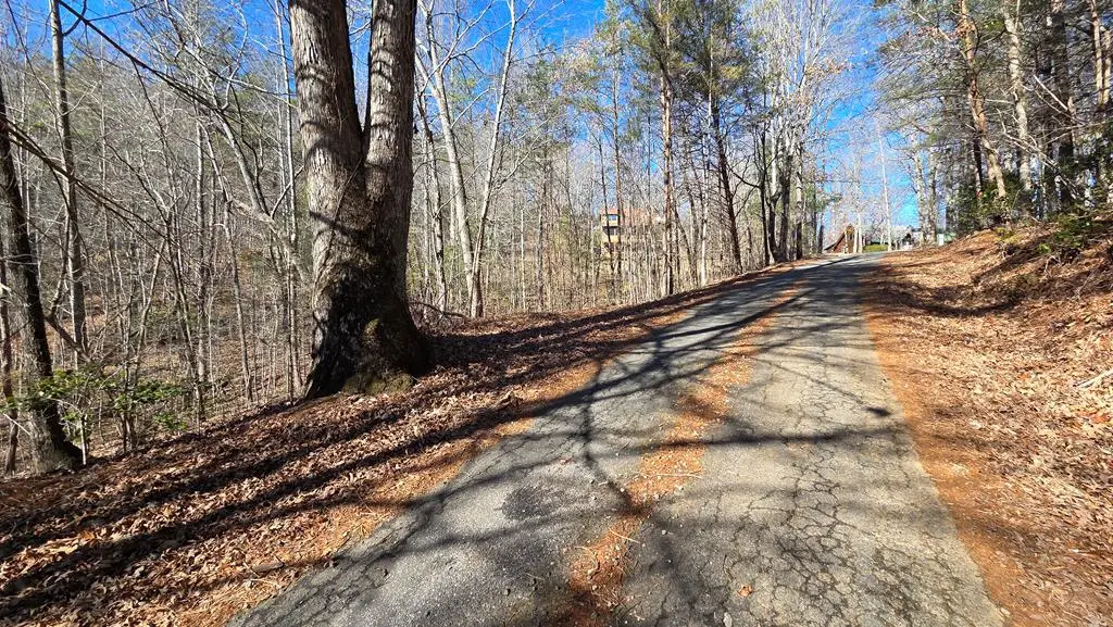 Lt 11 Mountain Laurel Est., Young Harris, GA 30582 - #1