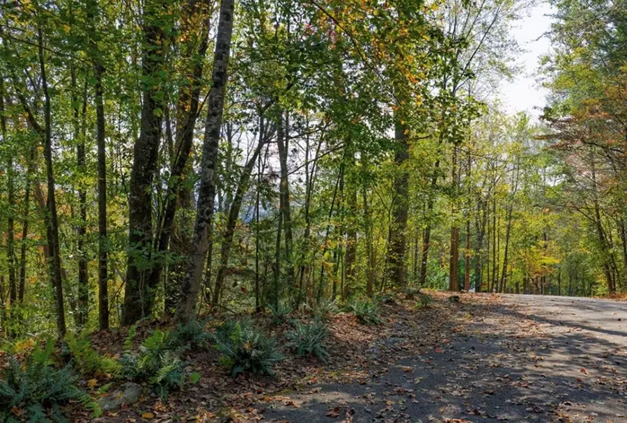 L81 Lillie Drive, Ellijay, GA 30540 - #3