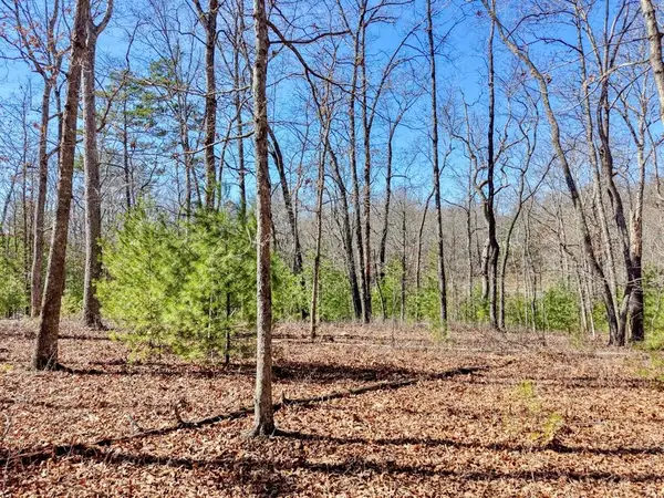 Lot 40 Lola Mae Way, Morganton, GA 30560