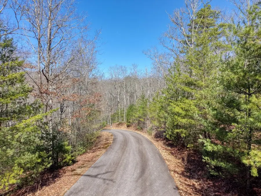 Lot 40 Lola Mae Way, Morganton, GA 30560 - #2
