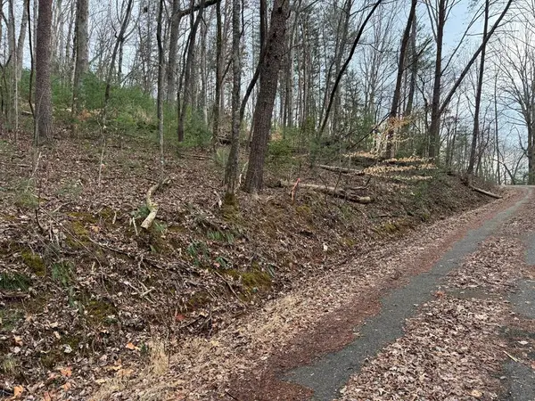 29,30 Sunset Drive W, Young Harris, GA 30585