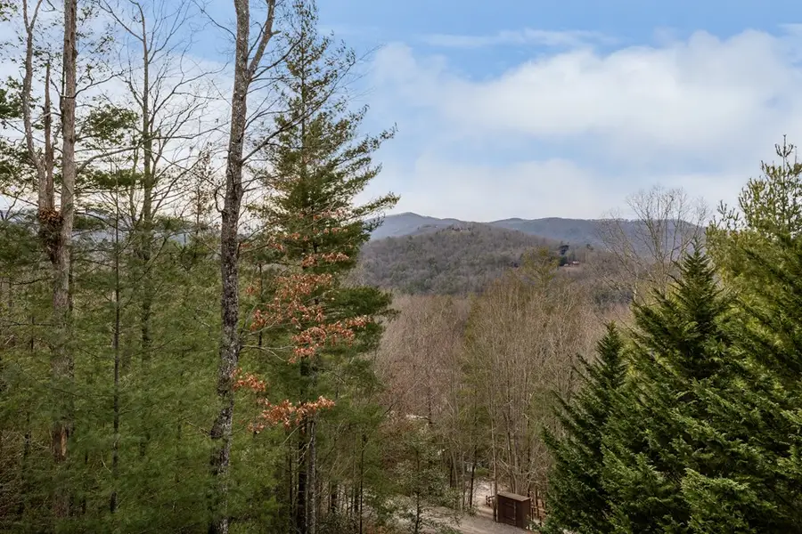 131 Toccoa Overlook Lane, Blue Ridge, GA 30513 - #3