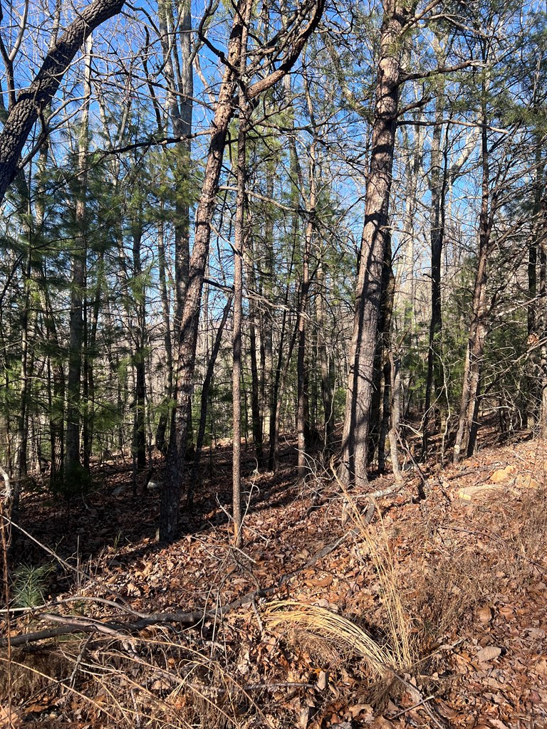 0 Old Parker Terrace, Ellijay, GA 30540 - #2