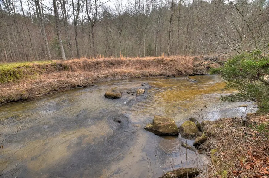 1175 Lickskillet Circle, Blue Ridge, GA 30513 - #3