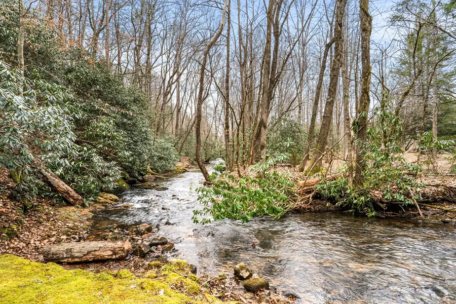 102 Hideaway Cove, Hayesville, NC 28904 - #3